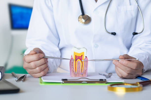 Best Emergency Dental Filling Replacement  in Oakfield, WI